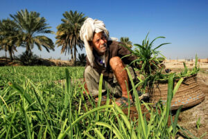 agricultor trabajando en campo con credito
