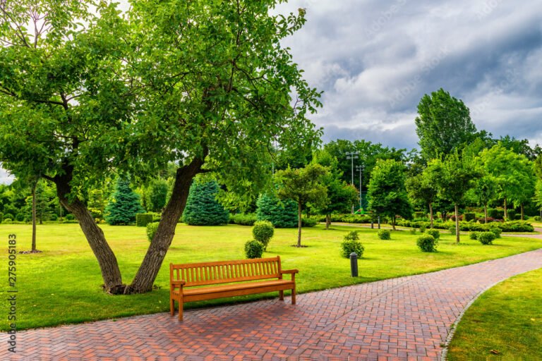 Cómo se dice "banca de parque" en inglés correctamente 10 Cómo se dice «banca de parque» en inglés correctamente