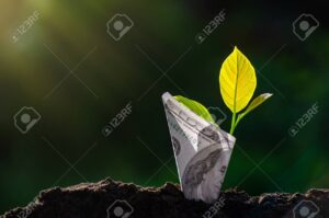 billetes creciendo en arbol financiero
