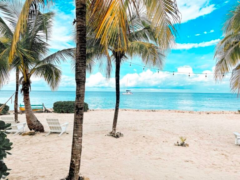 cajero automatico inbursa en playa tropical