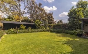 Qué Características Tiene Lomas de Chapultepec I Sección en CDMX 38 casas elegantes en lomas de chapultepec area verde