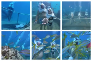 inmersiones con cascos y estructuras submarinas