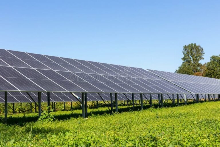 Cómo Funcionan Los Paneles Solares De Thrive Solar México 7 Cómo Funcionan Los Paneles Solares De Thrive Solar México