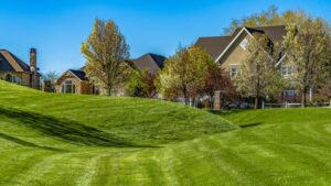 panoramica residencial casas jardin arboles cielo azul