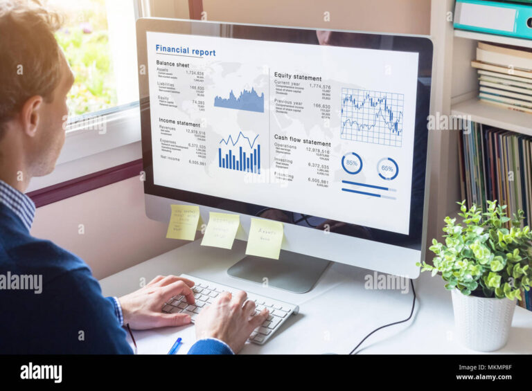persona usando computadora con informacion financiera